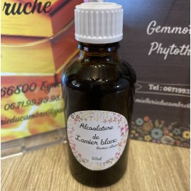 Alcoolature de Lamier blanc (ortie blanche)